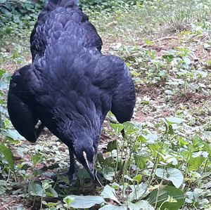 Meet your Posher, Abigail